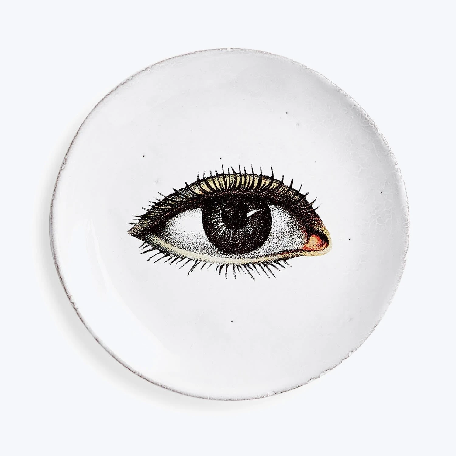 Open Left Eye Plate 3 Open Left Eye Plate