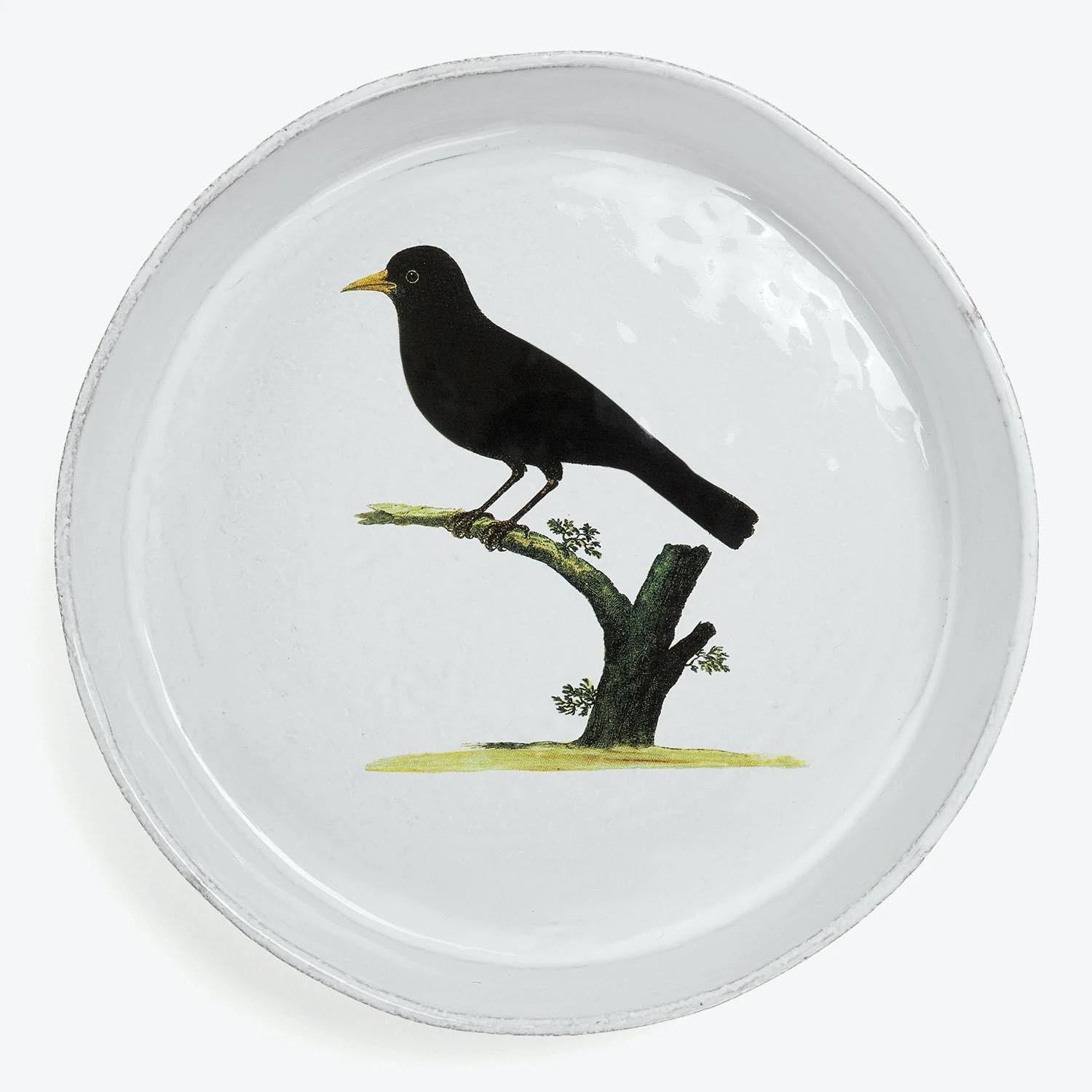 Blackbird Dish 3 Blackbird Dish