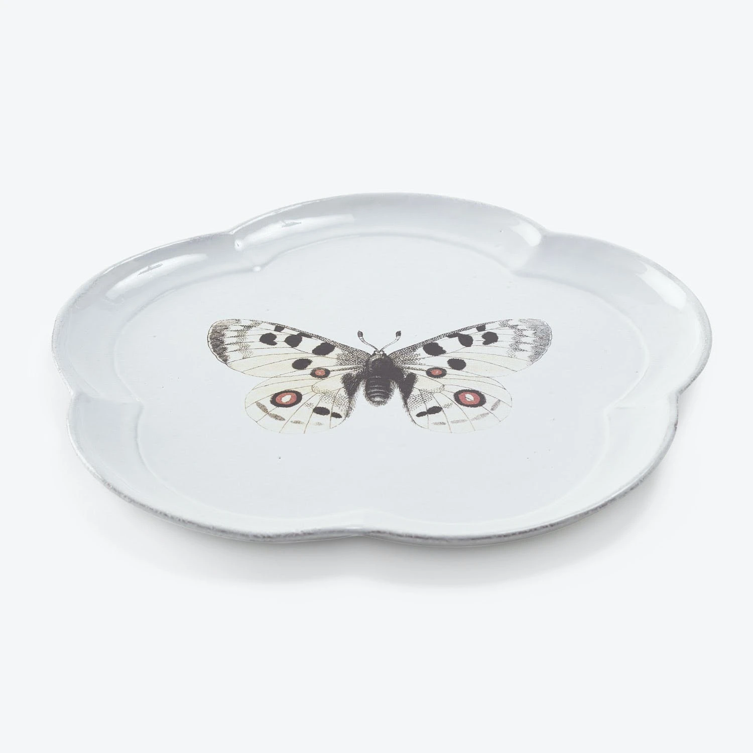Butterfly Plate 3 Butterfly Plate
