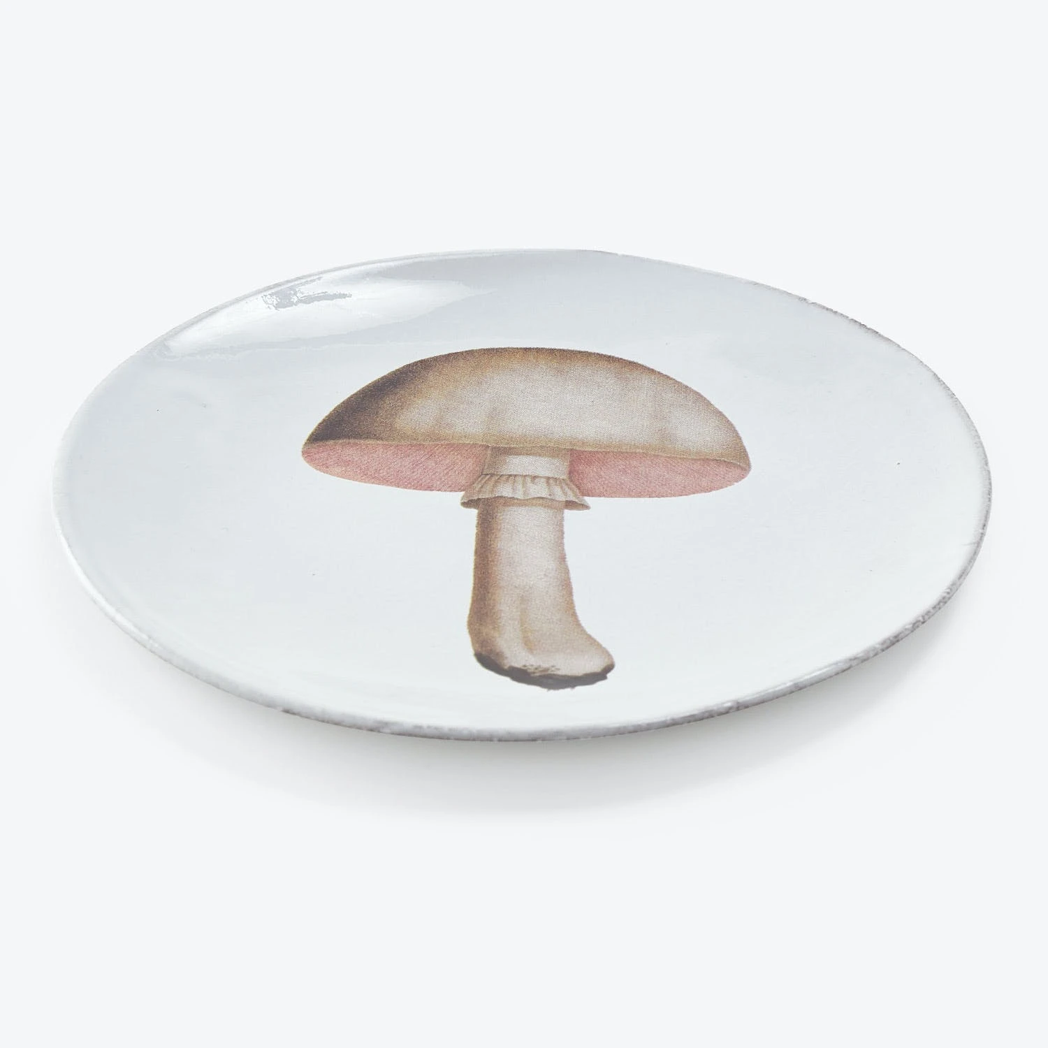 Champignon Plate 3 Champignon Plate