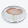 Meurtier Saucer -Home Furnishings Store 1551713 a