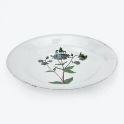 Columbine Soup Plate
