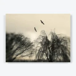 Ghosts Of Camargue -Home Furnishings Store 1607482 1607483 1607484 A c7b82c97 b92d 478e 8986 5b685241ea2a