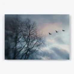 We Could Live In Hope