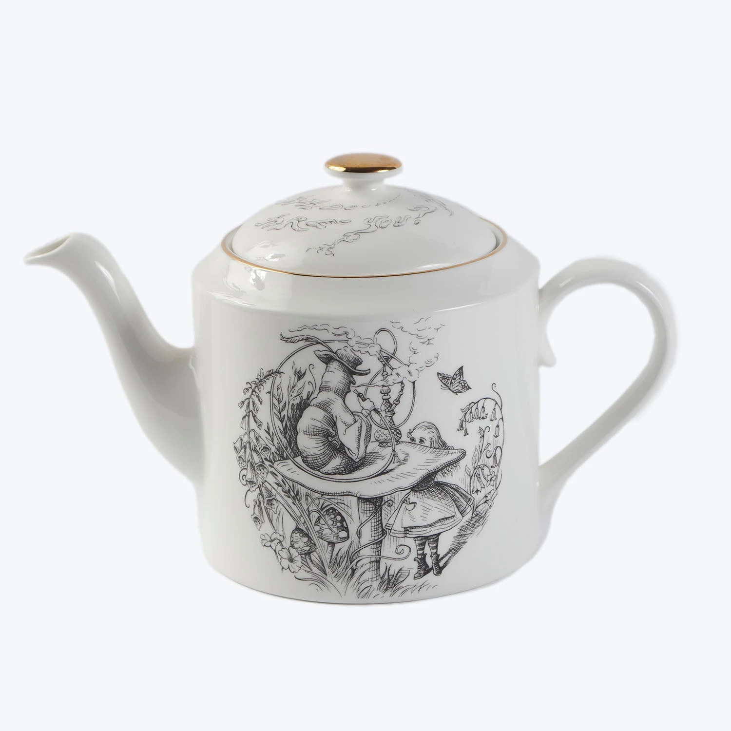 Wonderland Round Teapot 3 Wonderland Round Teapot