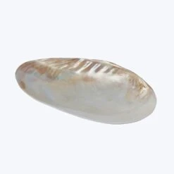 Seashell Footed Dish