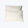 Lineare Sateen Duvet & Shams, Ivory 1 Lineare Sateen Duvet & Shams, Ivory -Home Furnishings Store 3027624 c2a1e2a3 6abe 402a b594 a8b4e89c58f4