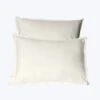 Lineare Percale Duvet & Shams, Ivory -Home Furnishings Store 3028659 0e4bd46e 60d5 4bb2 803f f96f34148dd8