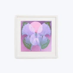 Pink Moon Butterfly Framed