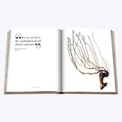 Assouline The Impossible Collection Of Champagne -Home Furnishings Store 3040383 12