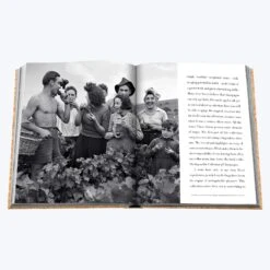 Assouline The Impossible Collection Of Champagne -Home Furnishings Store 3040383 6