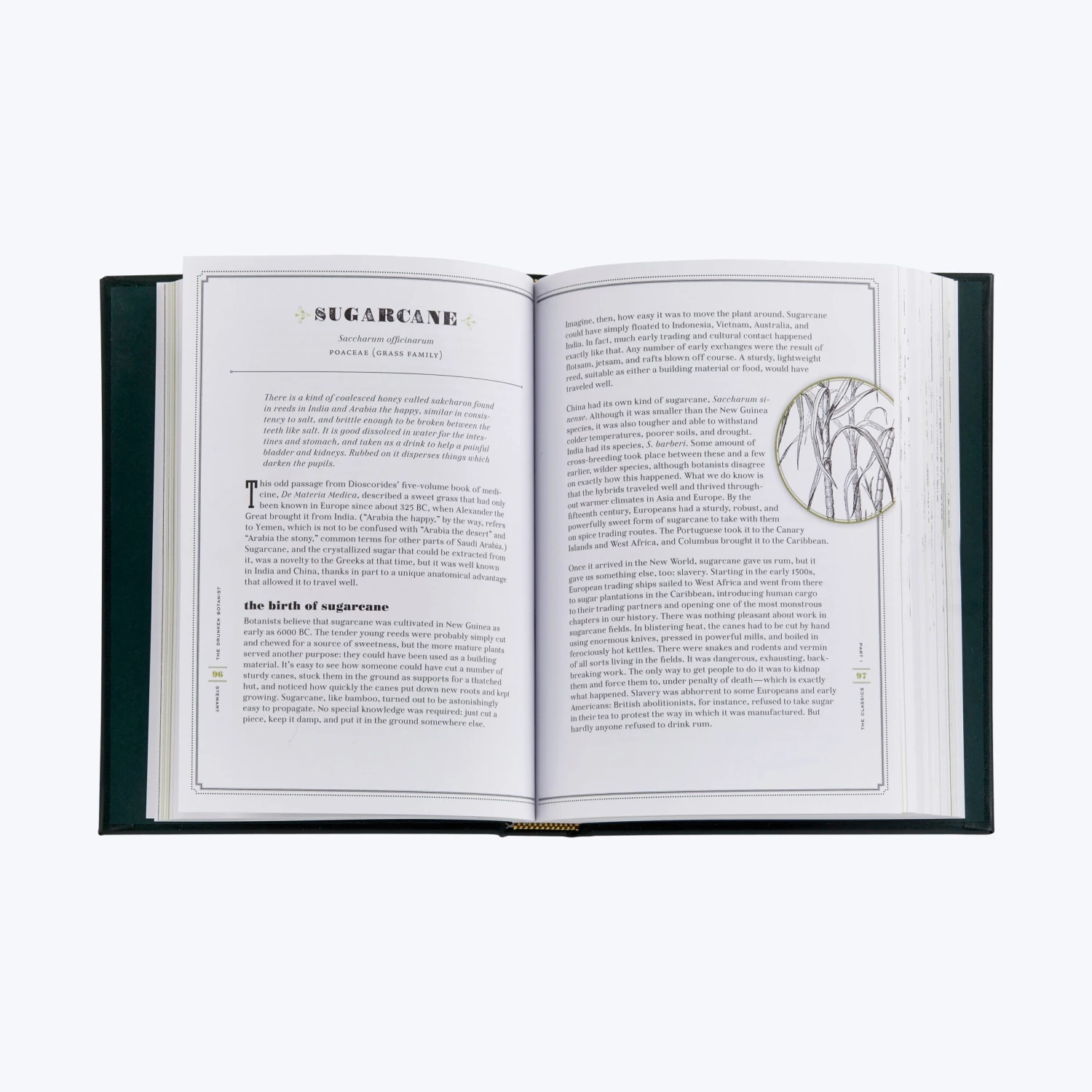 Drunken Botanist 6 Drunken Botanist - Image 4