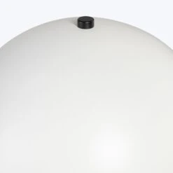 Rocio Table Lamp -Home Furnishings Store 3043134 1